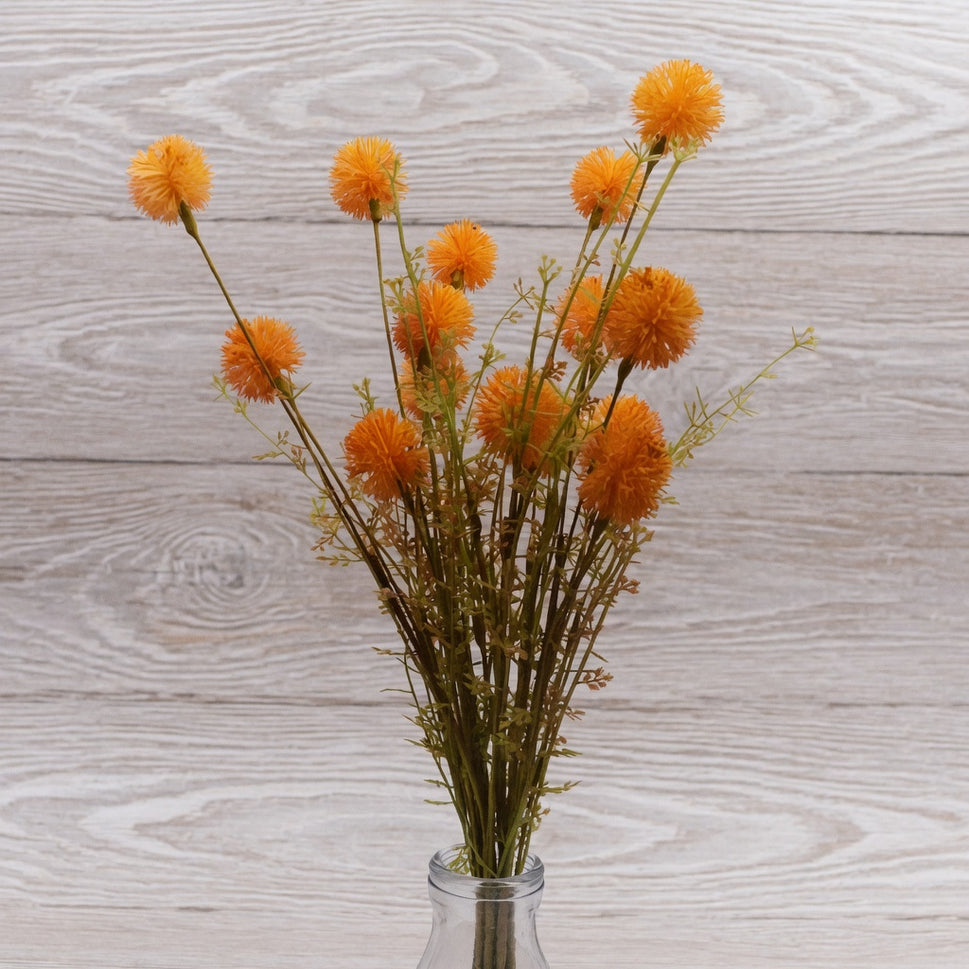 Pale Orange Floral Display & Leaves