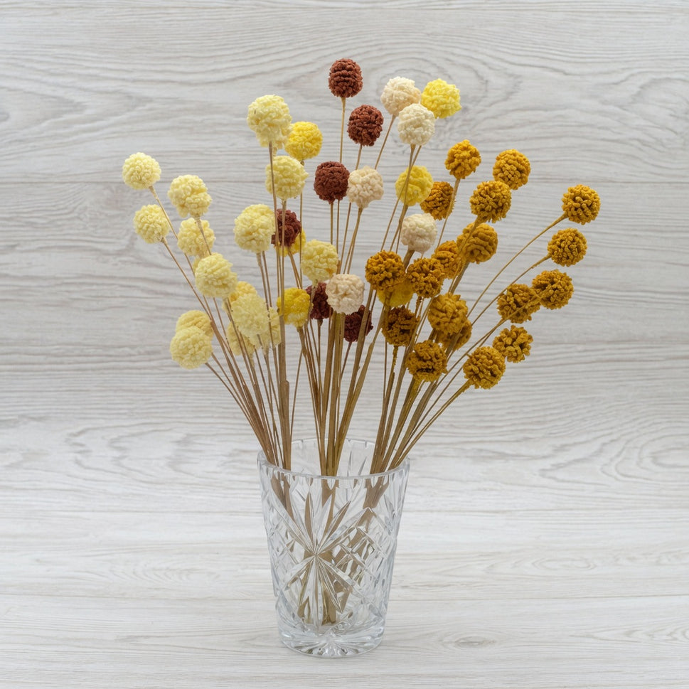 Colourful Summer Floral Display
