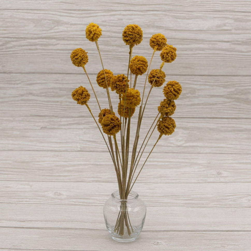 Colourful Summer Floral DisplayOchre