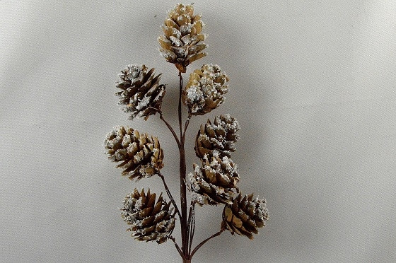 22070 - Winter frosted pine cones floral pick. Measures  Height 240mm  ,   Width  80mm  