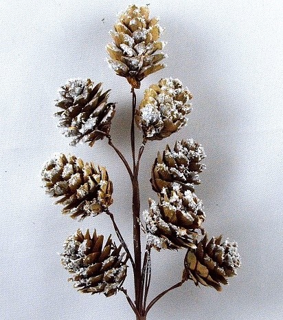 22070 - Winter frosted pine cones floral pick. Measures  Height 240mm  ,   Width  80mm  