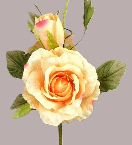 33015 - Blossoming Soft Peach roses in a lovely floral arrangement accompanied with lush green leaves.  Height  21cms,  Width  15cms  (approx)