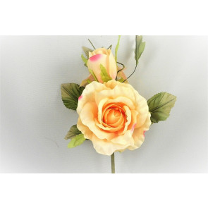 33015 - Blossoming Soft Peach roses in a lovely floral arrangement accompanied with lush green leaves.  Height  21cms,  Width  15cms  (approx)