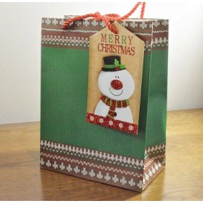88121 - Medium Green Merry Christmas Gift Bags & Santa Tag!!-Green - Medium