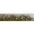 22004 - Gold Christmas Garlands with Pine Cones, Holly & Baubles. Length Apx 1m