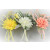 33003 - Spring floral arrangement with a curled soft ribbon embellishment.  Height  20cms ,  Width  11cms  (approx) 