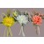 33003 - Spring floral arrangement with a curled soft ribbon embellishment.  Height  20cms ,  Width  11cms  (approx) 