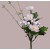 33007 - Spring floral arrangement.  Delicate pink petals surround a bright Yellow centre.  Height  21cms ,  Width  9cms  (approx )