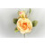 33015 - Blossoming Soft Peach roses in a lovely floral arrangement accompanied with lush green leaves.  Height  21cms,  Width  15cms  (approx)