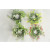 33019 - Delicate Spring flowers and leaves set in a circular floral arrangement. 