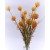 33028 - Pale orange floral display with soft textures of accompanying leaves.  Height  58cms ,  Width 21cms  (approx) 