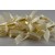 Y578 - 10mm Satin Coloured Mini Bows (50 Pieces per Pack)-51 Ivory-1 Pack (50 Pieces)