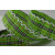 Y555 - 25mm Green Gingham Ribbon with Fringed Edge x 10 Metre Rolls!