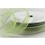55123 - 16mm Sheer ribbon with a white saddle stitch x 20mts 6301 Pale green and White