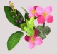 Small Fuschia