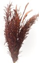 Col 57
